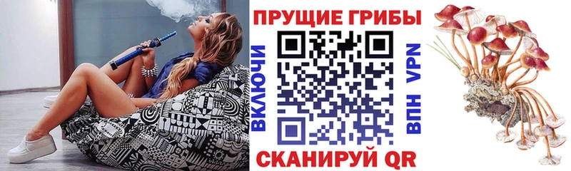 Псилоцибиновые грибы ЛСД  магазин продажи   Луза 